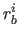 $r_{b}^{i}$